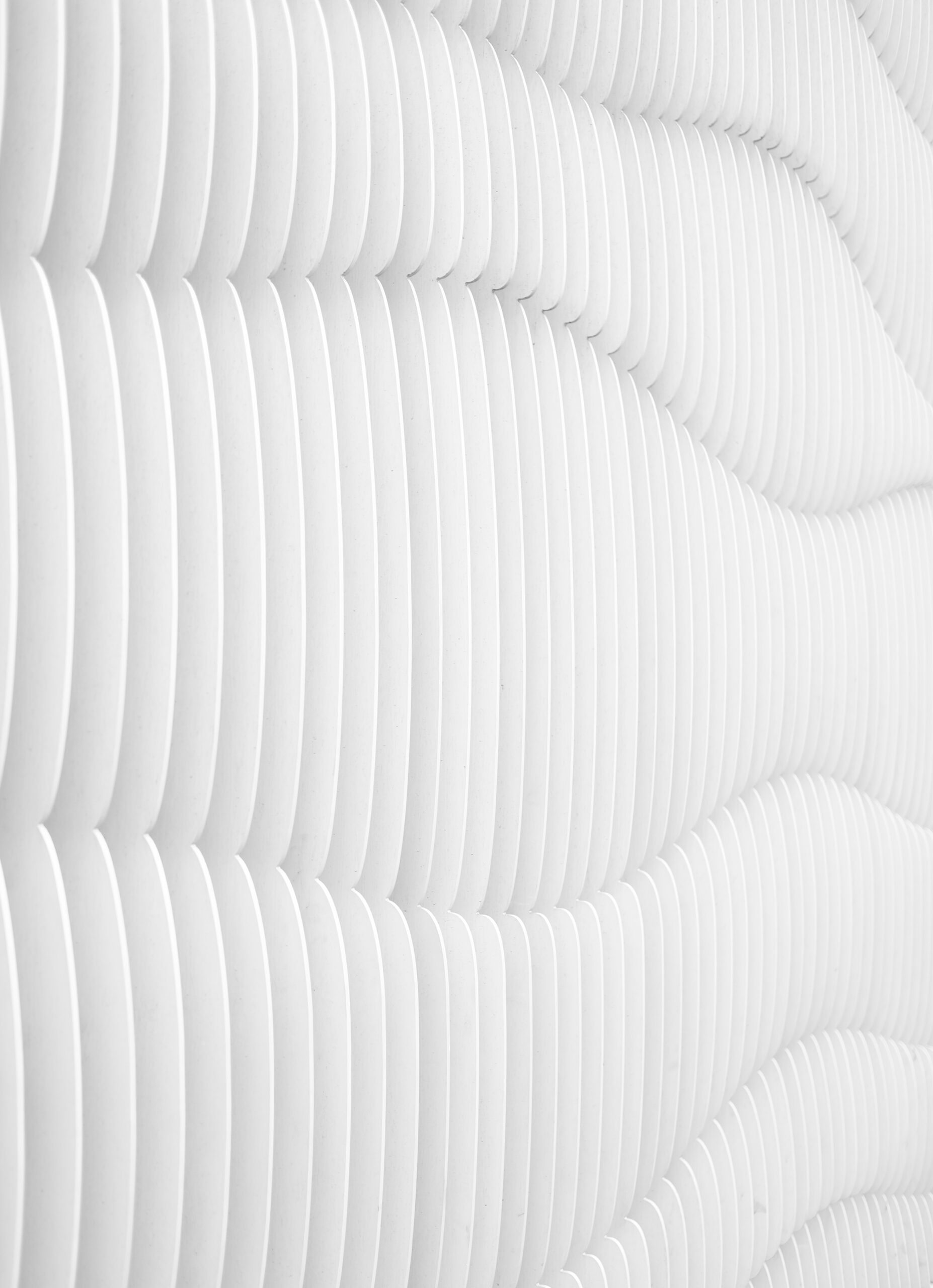 david-jorre-9f1gCaLkZBU-unsplash